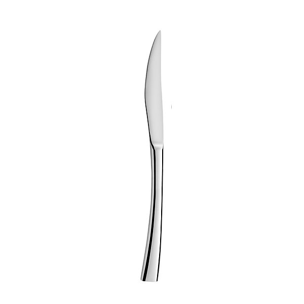 Couteau Inox VARSOVIE - Lot de 12 - Pradel