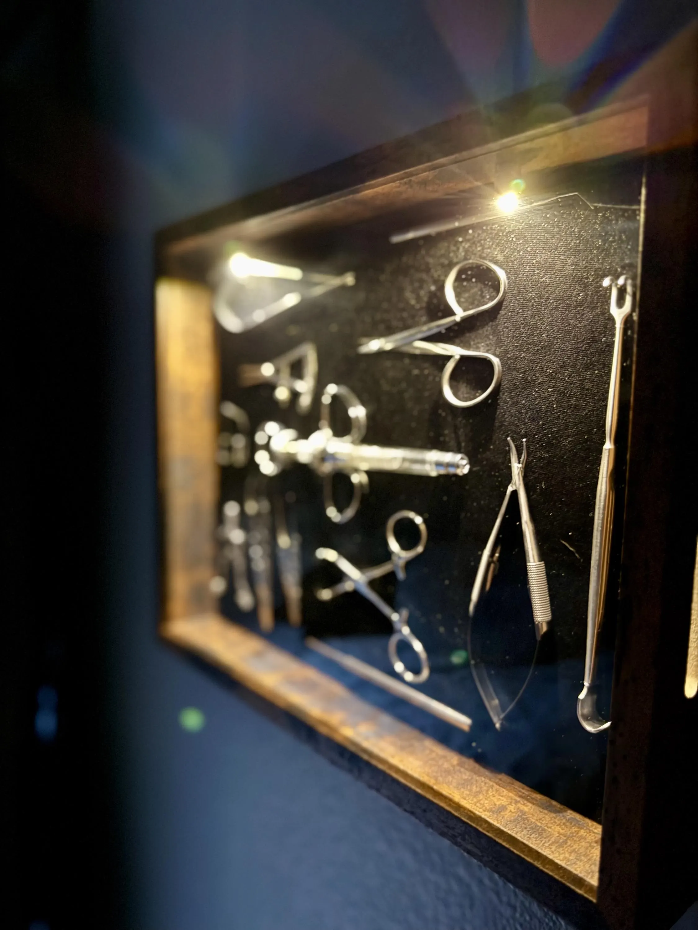 Real Surgical Instrument Shadow Box, Ophthalmic Eye Doctor Medical Office Decor