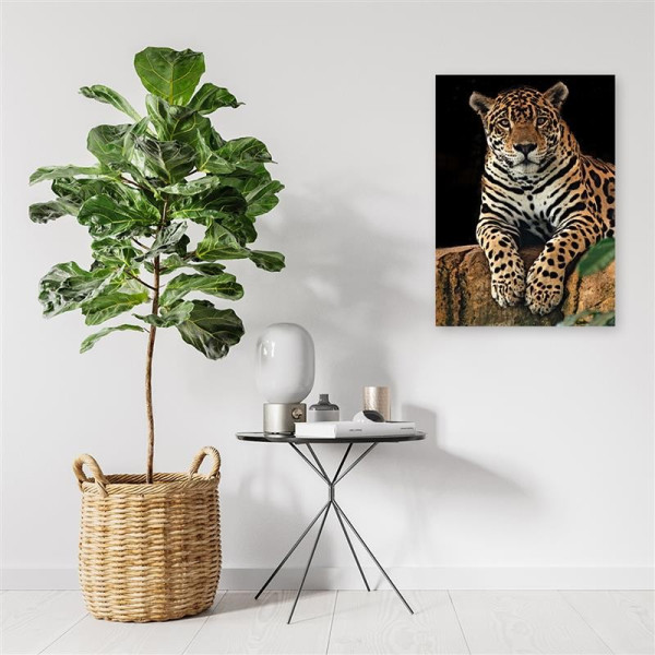 Feeby Obraz na płótnie, Lampart zwierzeta natura 40x60