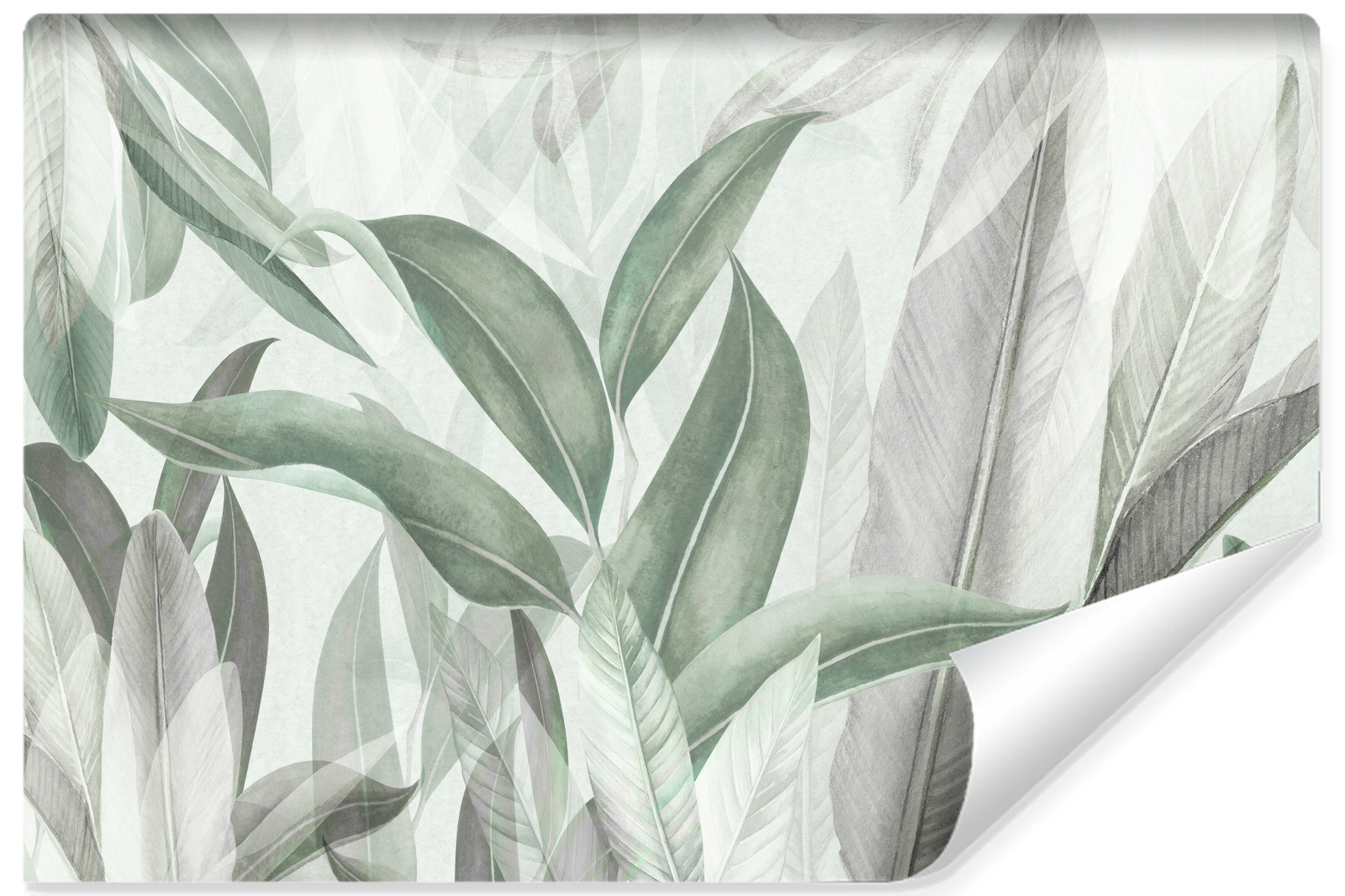 Fototapeta Pastelowe Liście Tropikalne 90x60cm
