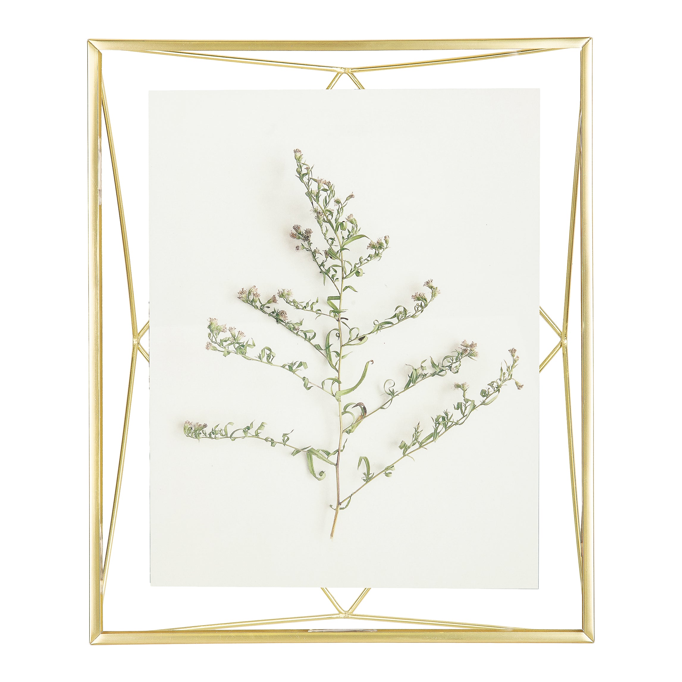 Umbra Prisma Fotolijst 30 x 25 cm - Goud