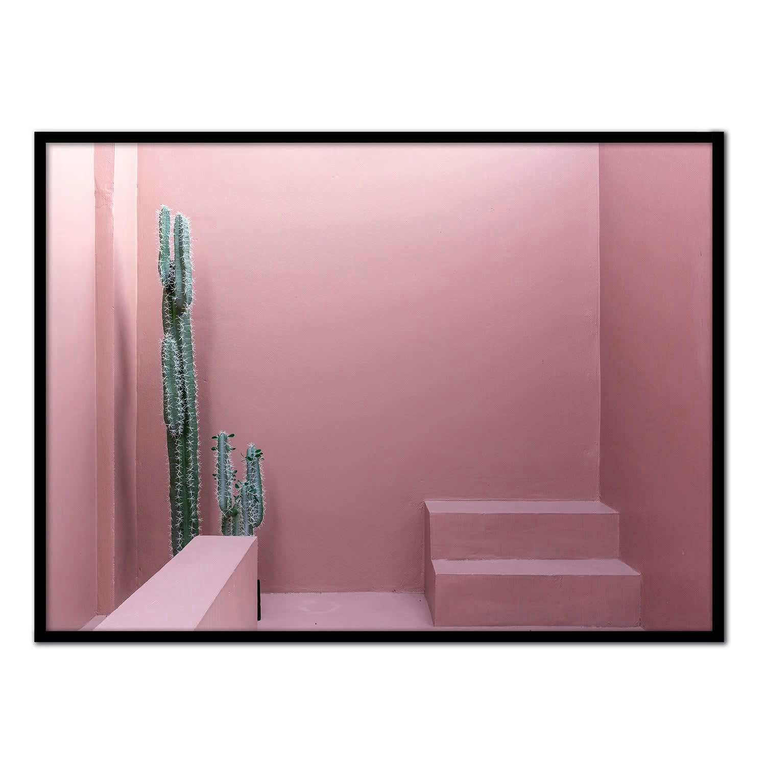 CACTUS - Affiche avec cadre noir - Cour rose - 50x70