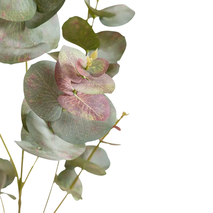 Kunstblume Eukalypa