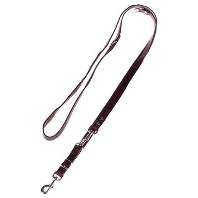 Heim Riveted Dog Lead - Brown