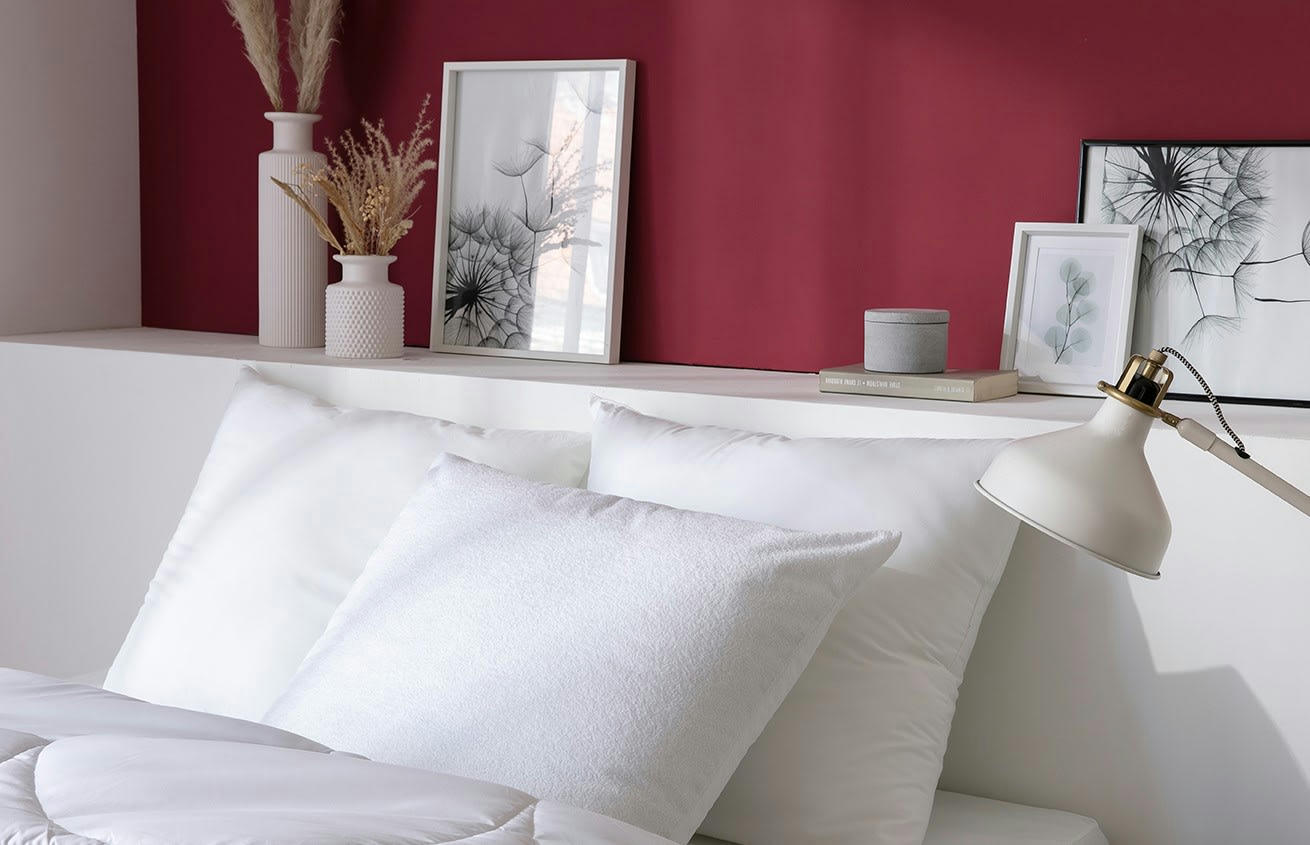 PROTECTION DE LITERIE - Lot de 2 protèges-oreillers Anti-acariens Biome® 65x65cm coton blanc