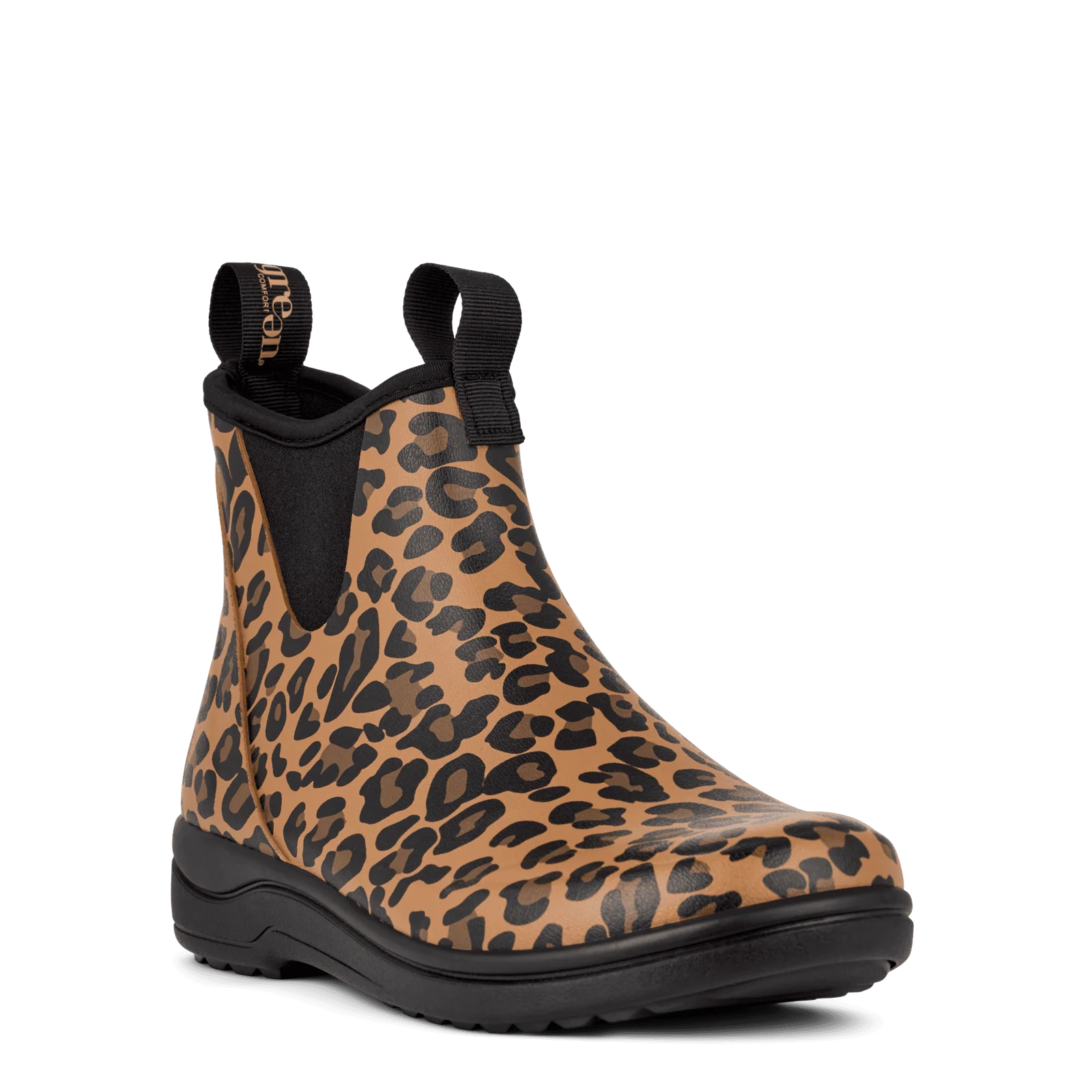 RAIN RAFAELL - LEOPARD