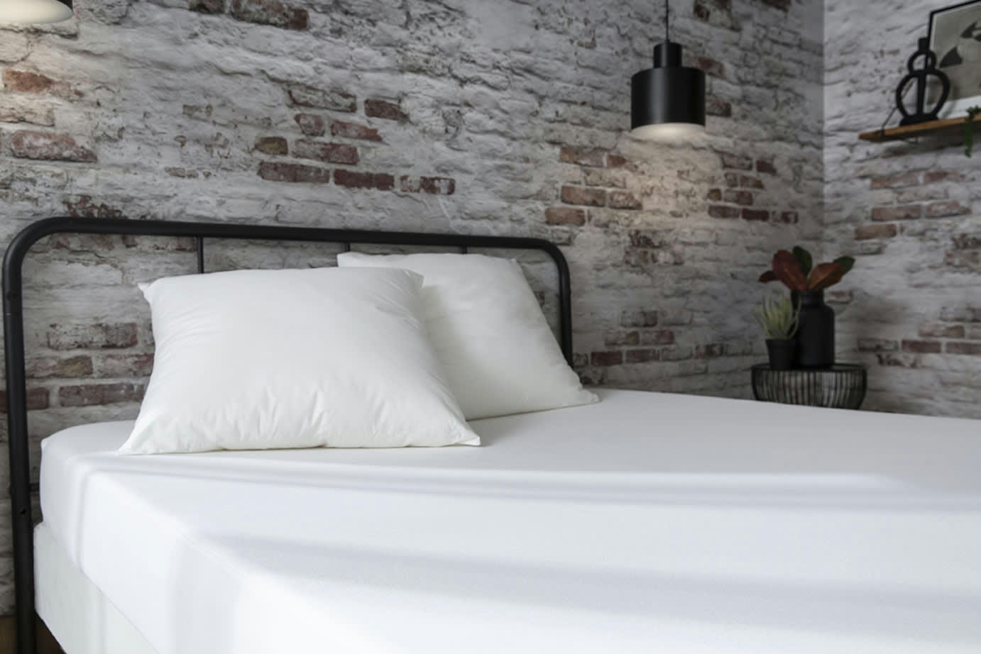 PROTECTION DE LITERIE - Protège-matelas Anti-acariens Biome® 140x 190cm coton bouclette blanc