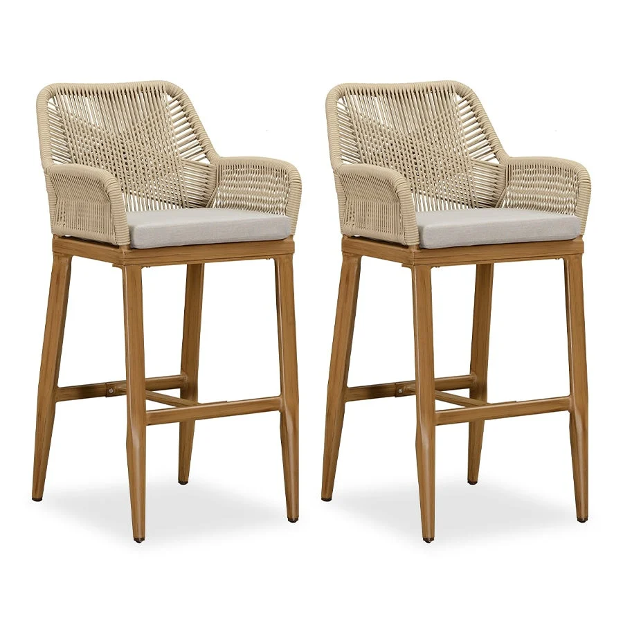 PURPLE LEAF Outdoor Bar Stools Chair Set of 2, All Weather Rattan and Aluminum Patio Bar Stool with Cushion