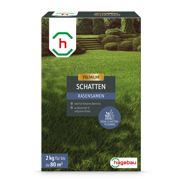 Rasen, Rasensamen Schattenrasen 2,0Kg Karton für 80 m2