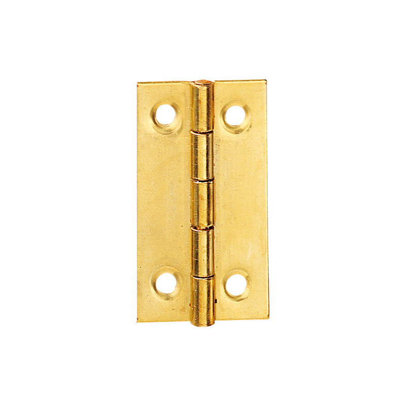 Charnière rectangulaire en laiton satiné 20 x 16 mm 4 pièces TEKNIBOX
