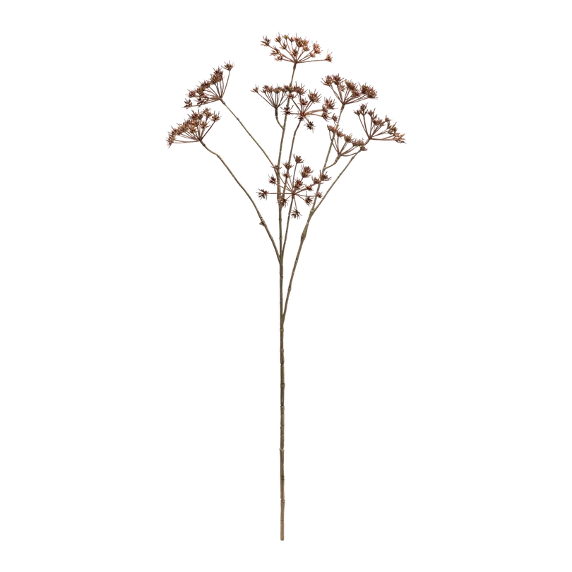 Dekozweig Dried-Grass