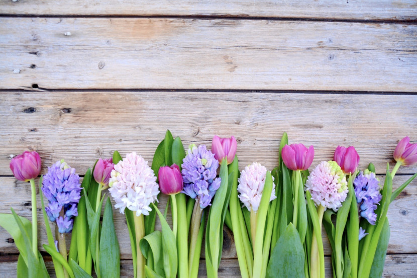 Fototapeta Ozdobna TULIPANY Kwiaty Wzór 3D 90x60cm