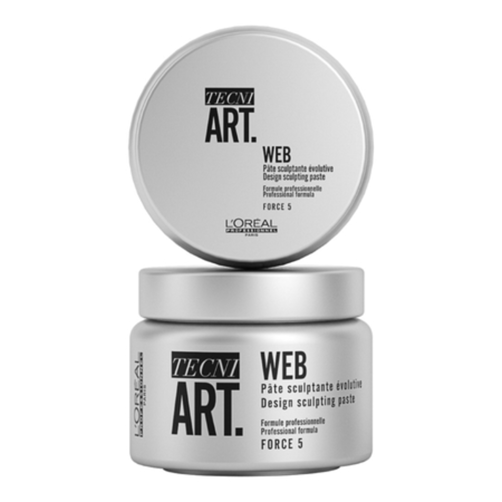 TECNI ART WEBPâte sculpante évolutive