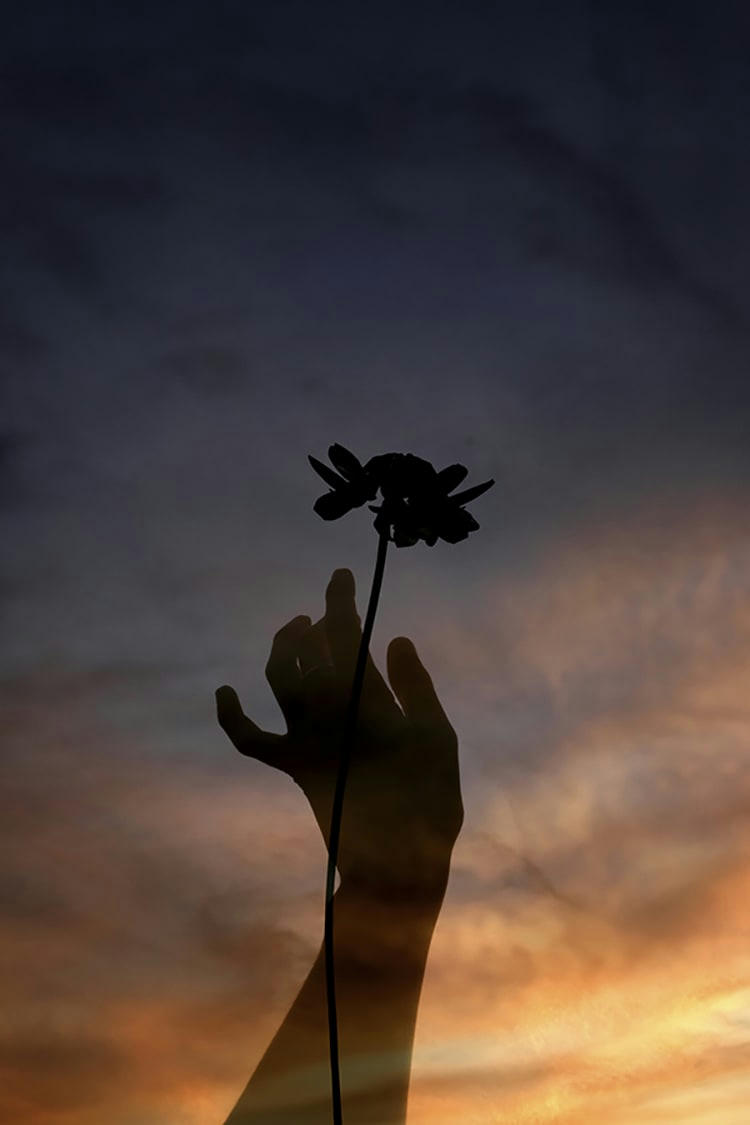 SONGE - Photographie d'art de Zoé Pignolet 40x60 cm sur alu