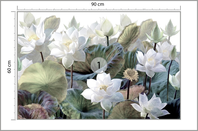 Fototapeta Białe Kwiaty Lotosu 90x60cm