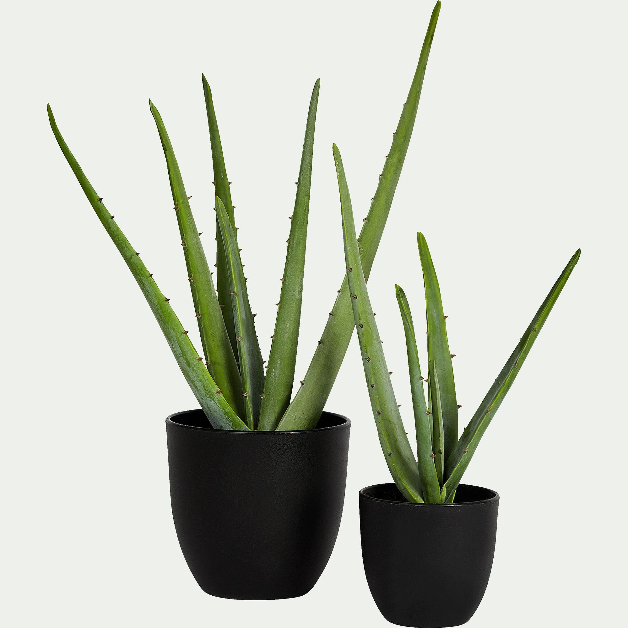 ALOE - Plante artificielle aloe - vert H52cm