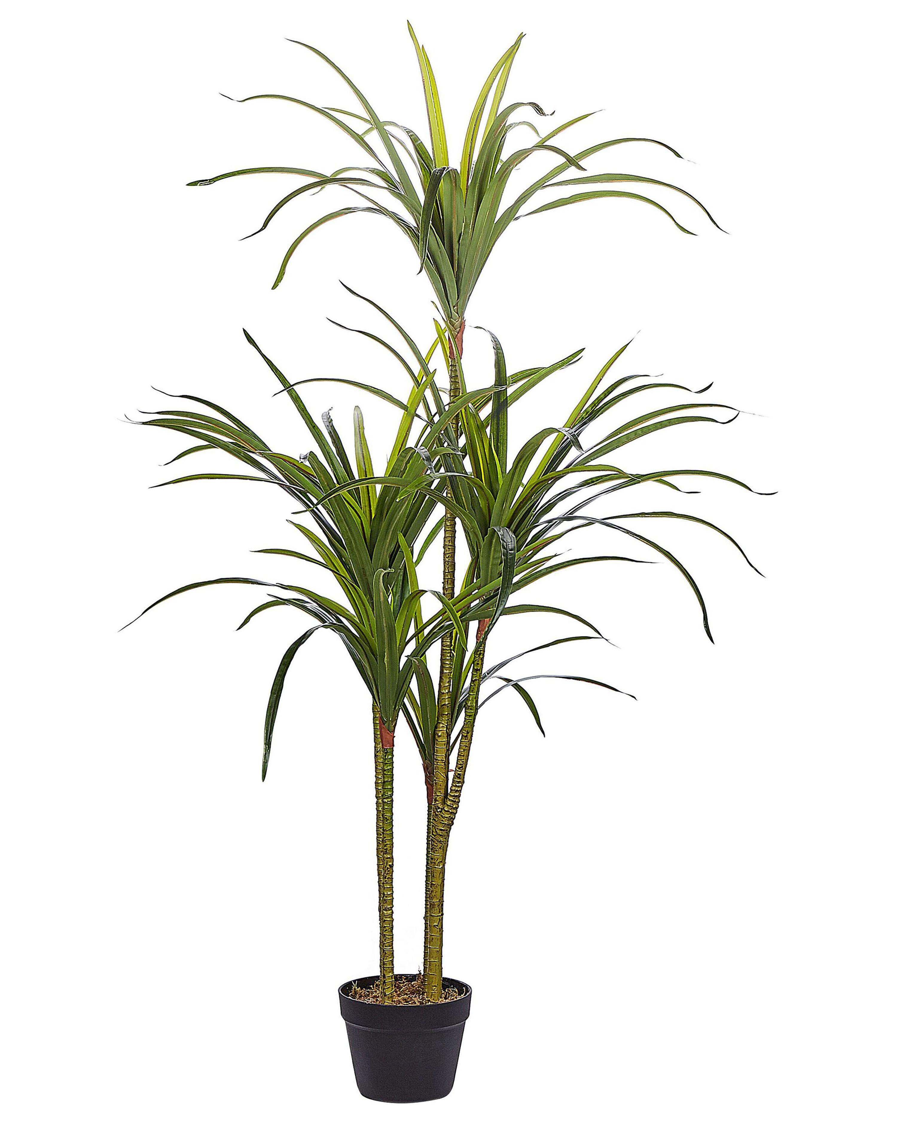 Artificial Plant DRACAENA ANITA 147 cm Green
