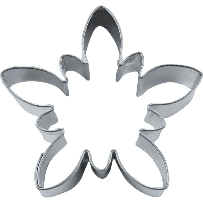 Ausstecher 5er-Set Edelweiss