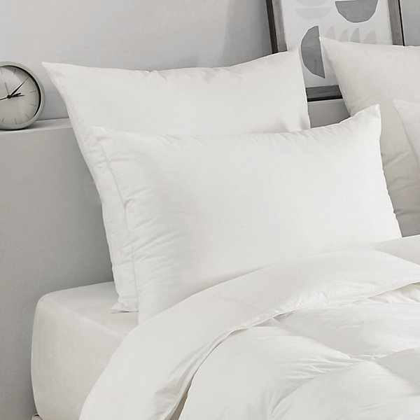 Oreiller en plumettes et duvet (50x70 cm - Blanc)