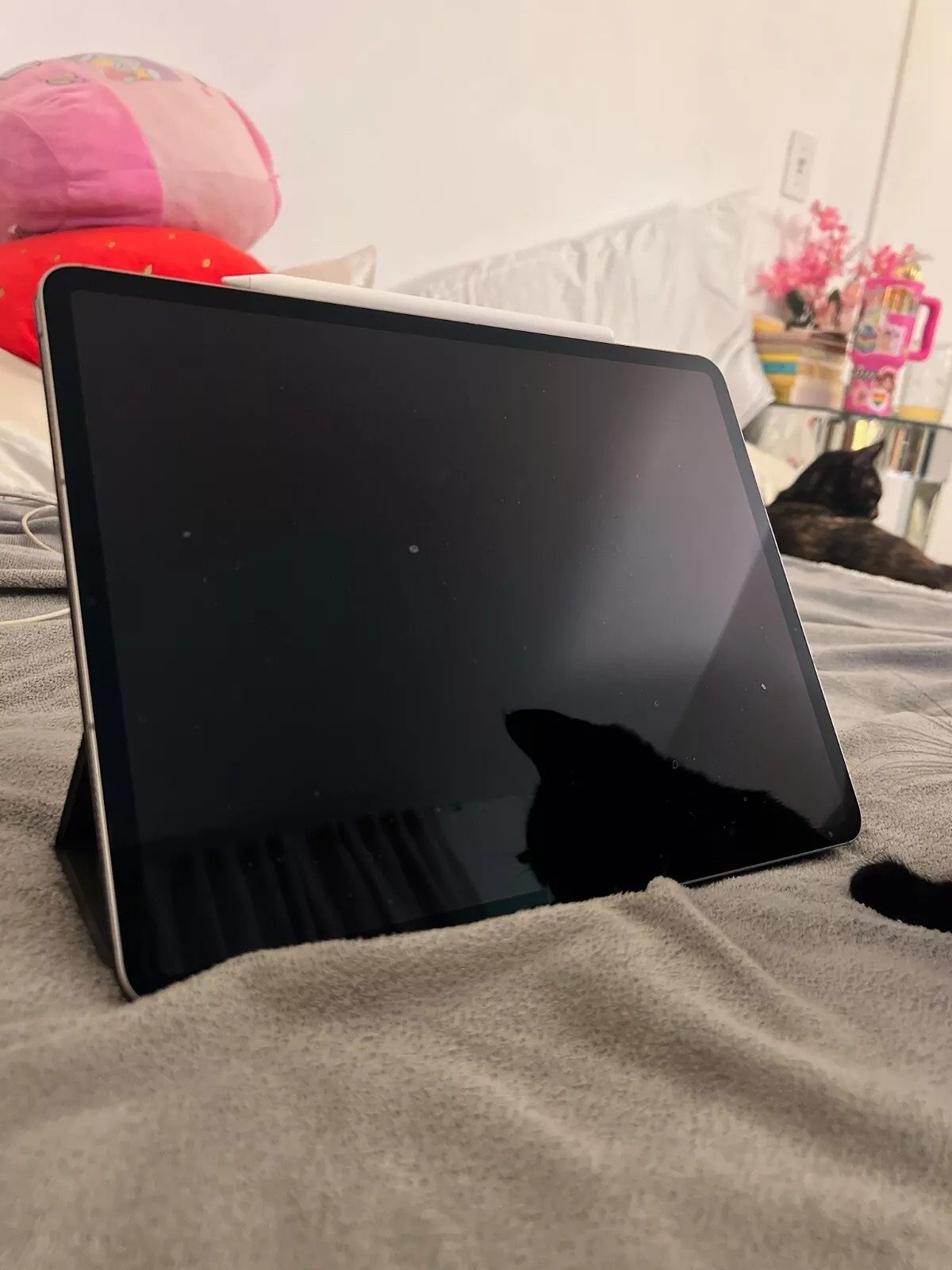 iPad Pro 12.9 6th Generation 1TB WiFi+Cellular