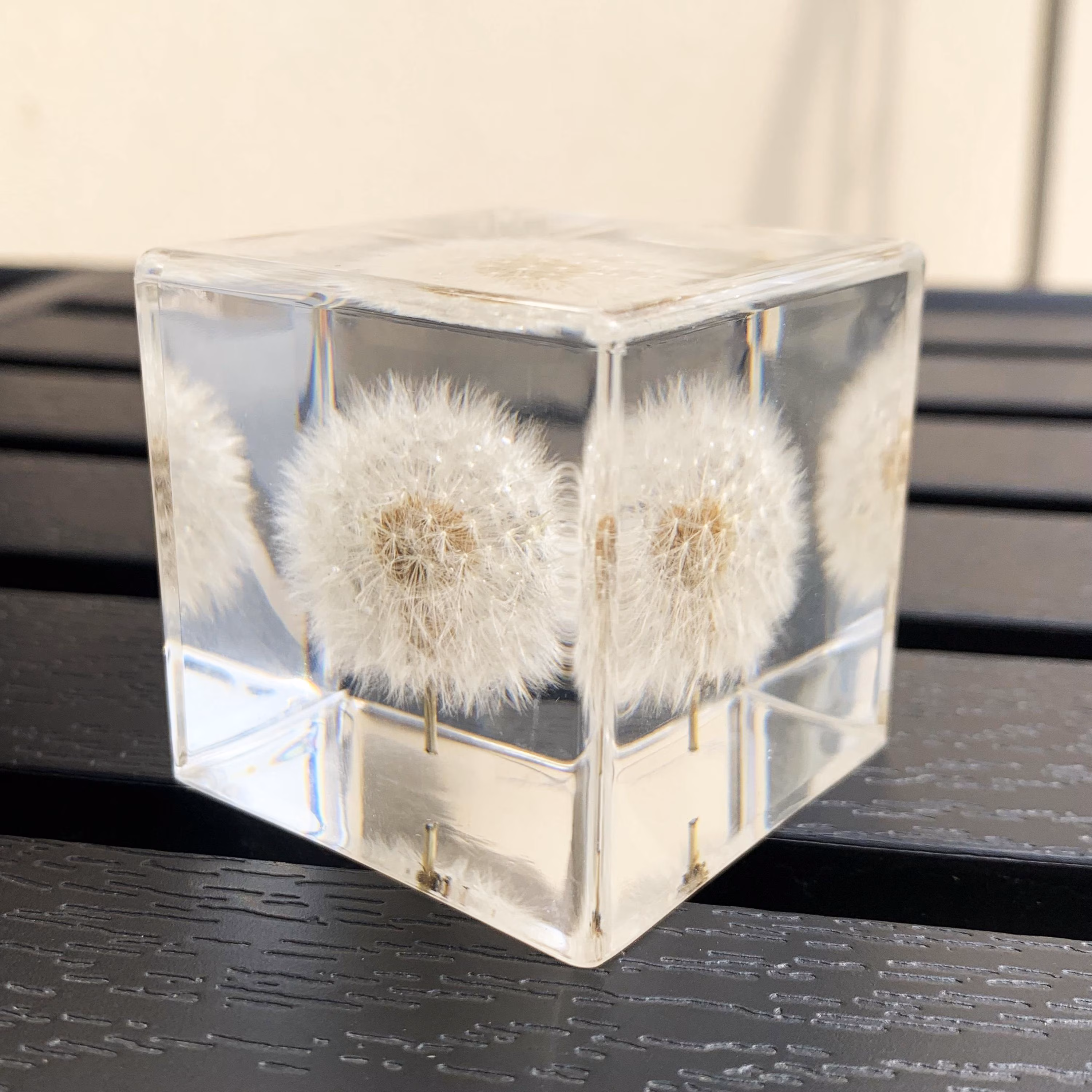 Real Dandelion Resin Paperweight | Clear Cube Flower Specimen Desktop Ornament | Botanical Aesthetic Room Office Decor | Nature Lover Gift