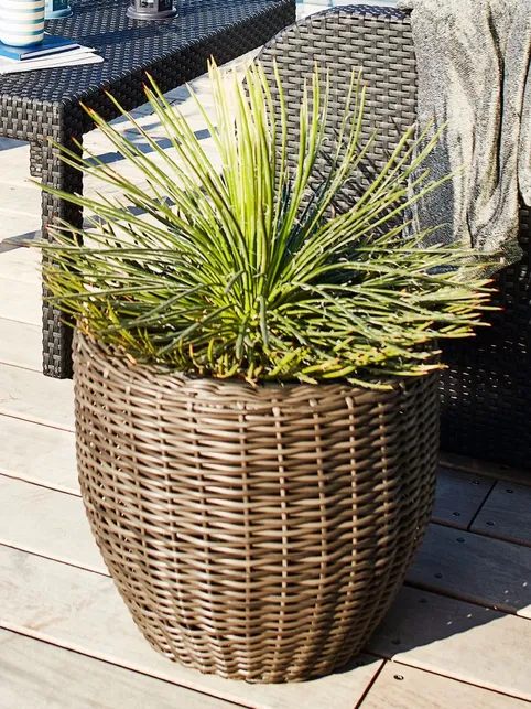Plantekurv SVARTBAK Ø40x35 natur