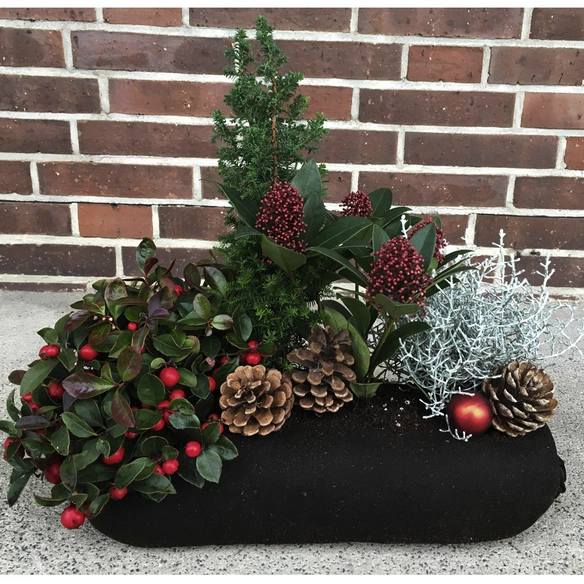 Blumen-Bag Winter, max. Wuchshöhe: 30 cm, Blüte: bunt