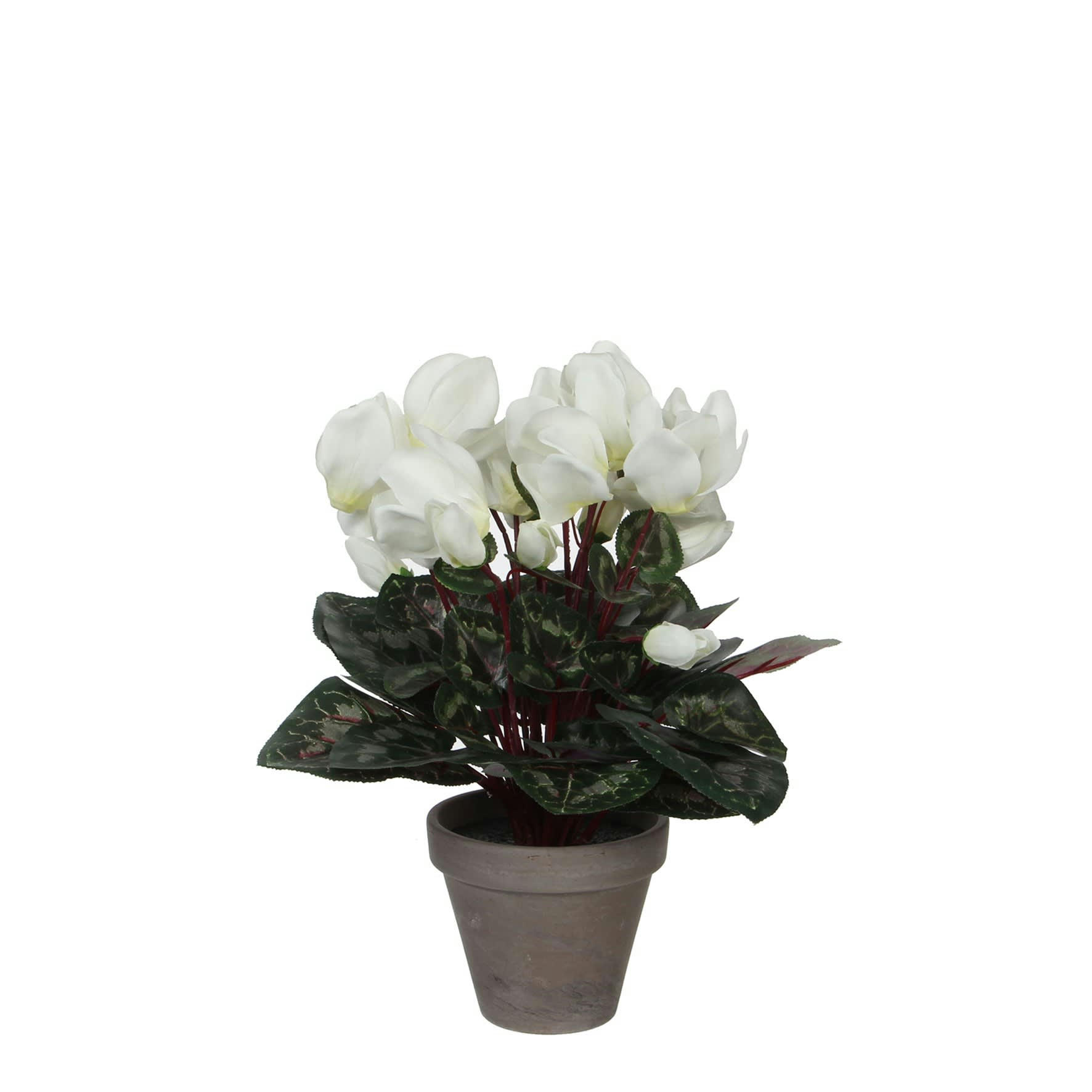 - Cyclamen artificielle blanc en pot H30