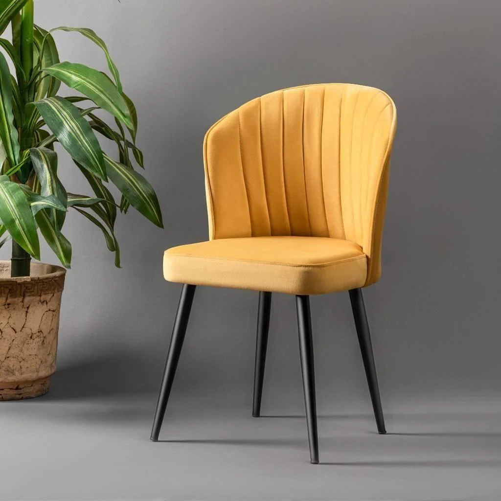 Set van 2 eetkamerstoelen Rubi velvet
