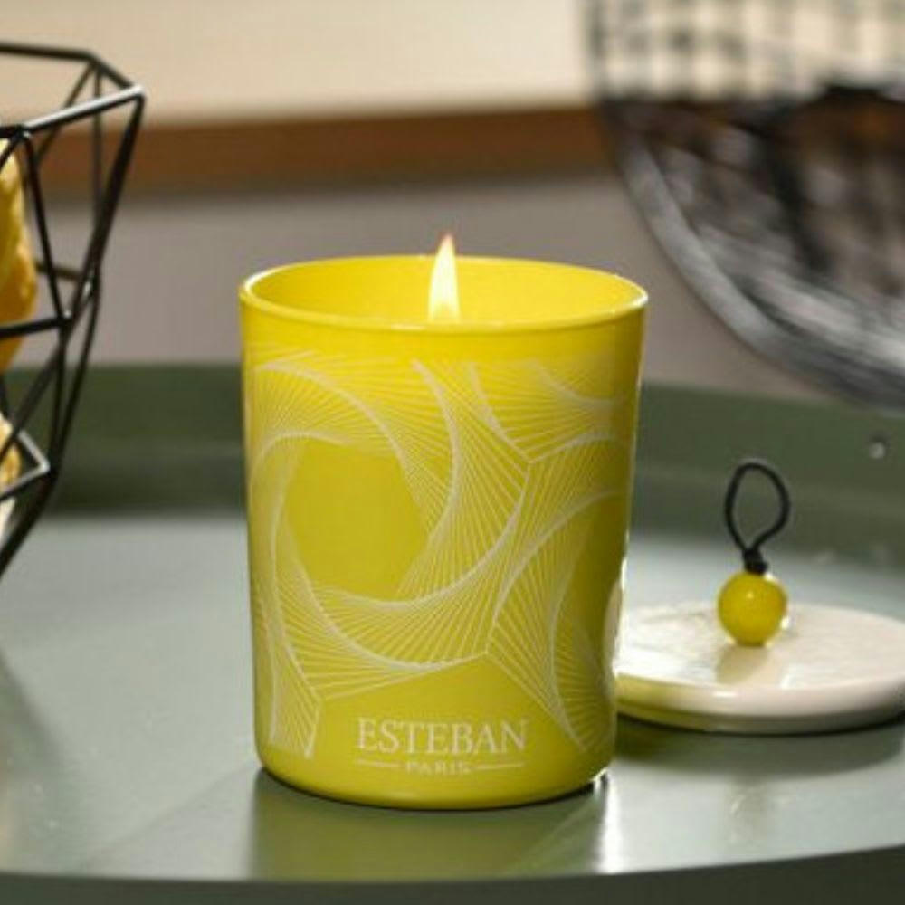 TERRE D'AGRUMES - Bougie déco parfumée rechargeable