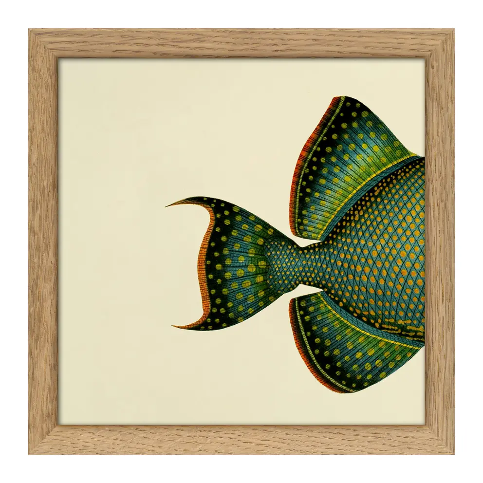Bild mit Rahmen Botanical