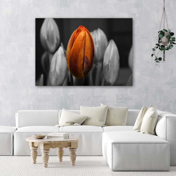 Feeby Obraz na płótnie Pomarańczowy tulipan 60x40