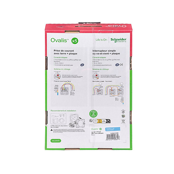 5 prises affleurantes Ovalis B 2 ports avec terre Schneider Electric