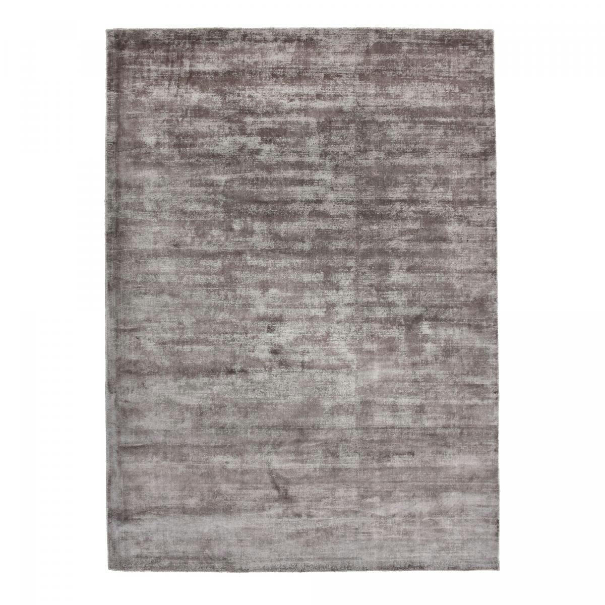 NEO LUXE - Tapis salon en viscose marron 200x300