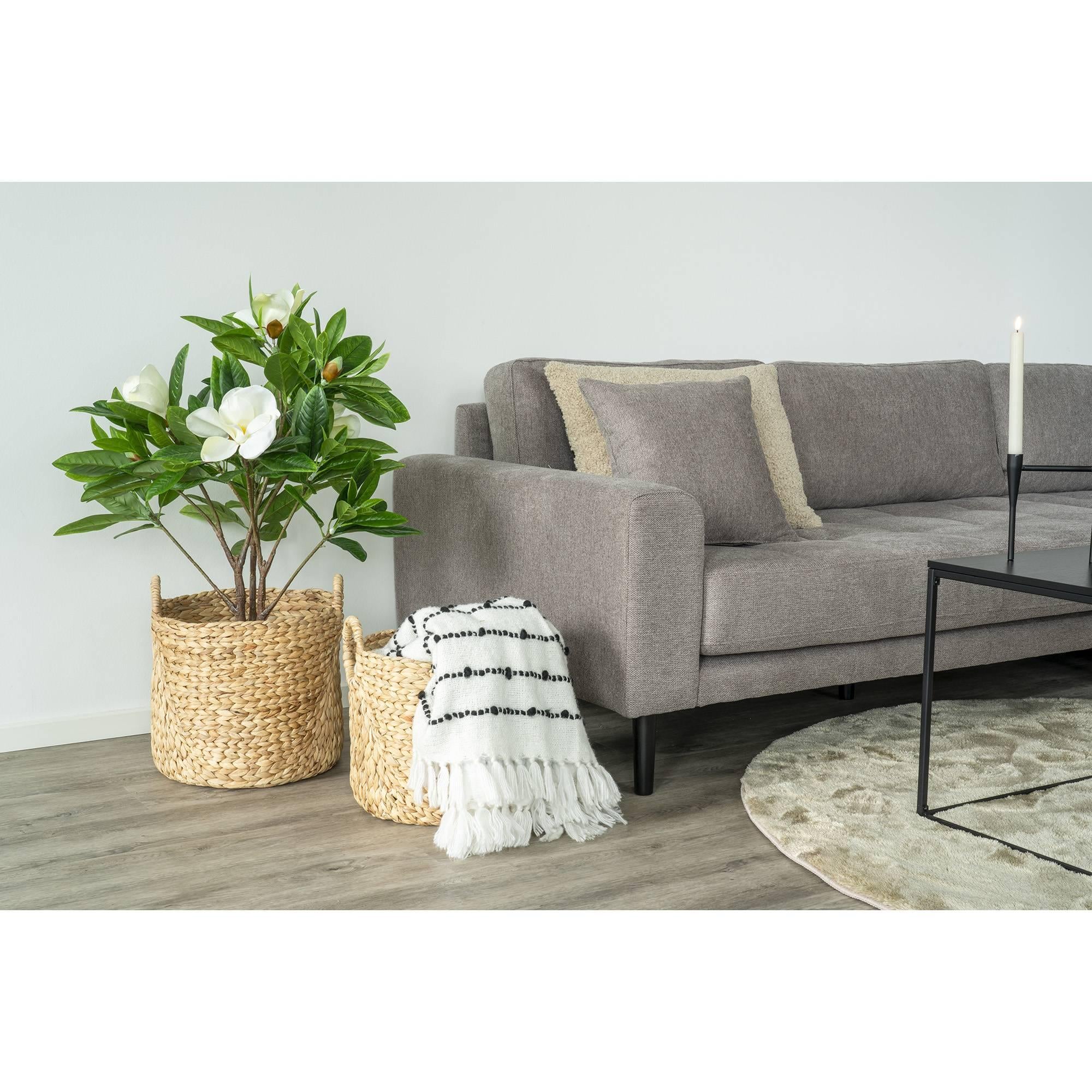 Set van 2 opbergmanden Tijuana