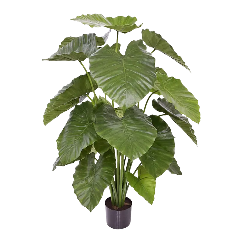 Kunstpflanze Alocasia calidora