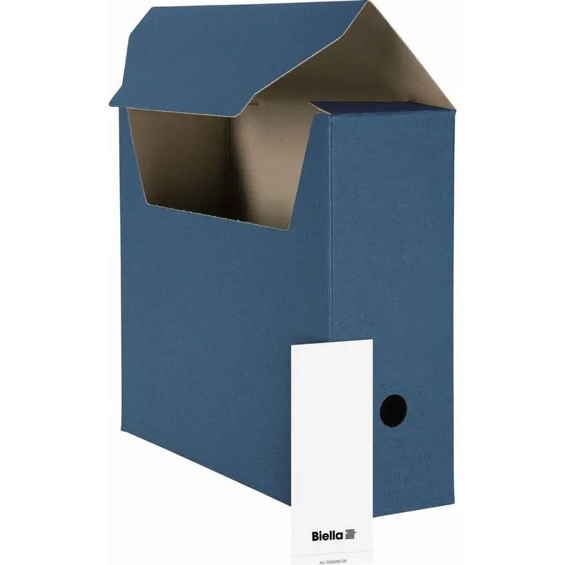 Aufbewahrungsbox 10er-Set Archivschachtel A4