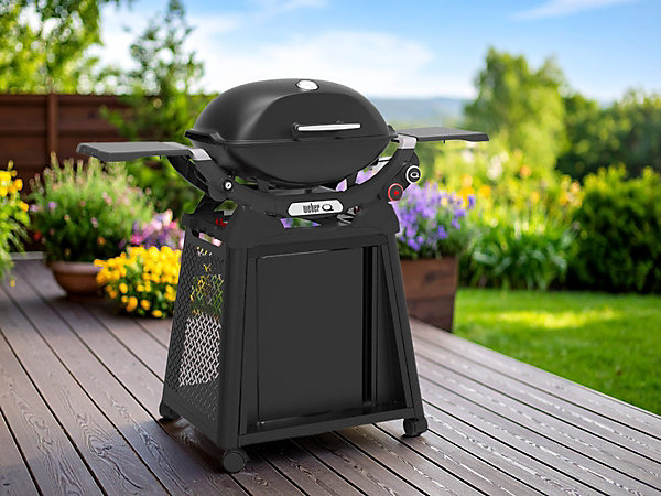 Barbecue à gaz Q 2800N  Chariot noir - Weber