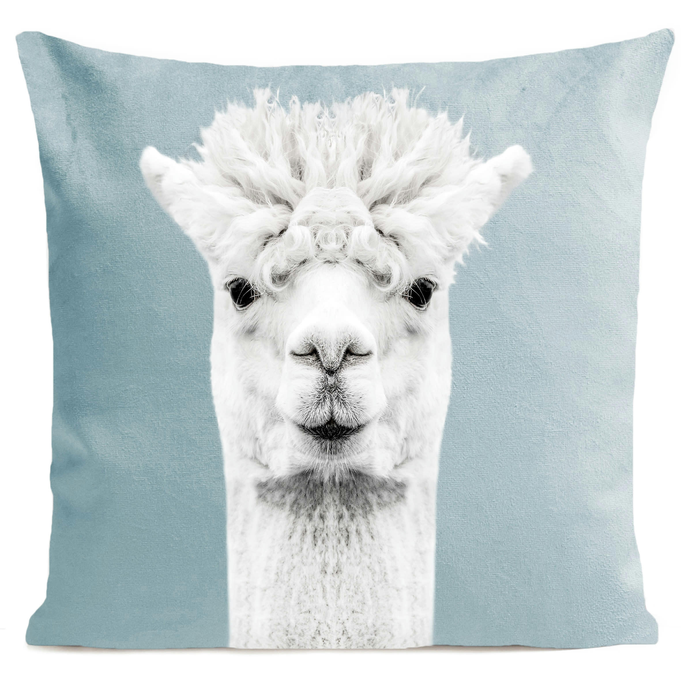 - Coussin animal lama suédine bleu 40x40cm