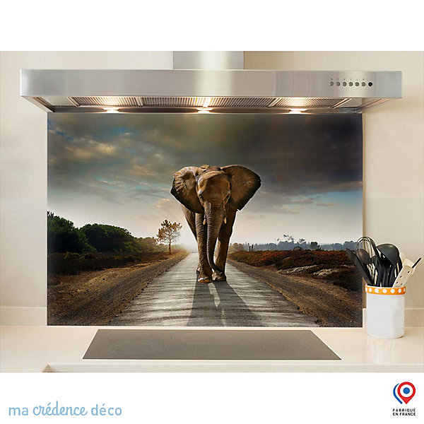 Crédence cuisine fond de hotte Eléphant - Verre trempé - L 90 cm x H 60 cm - MaCrédenceDéco