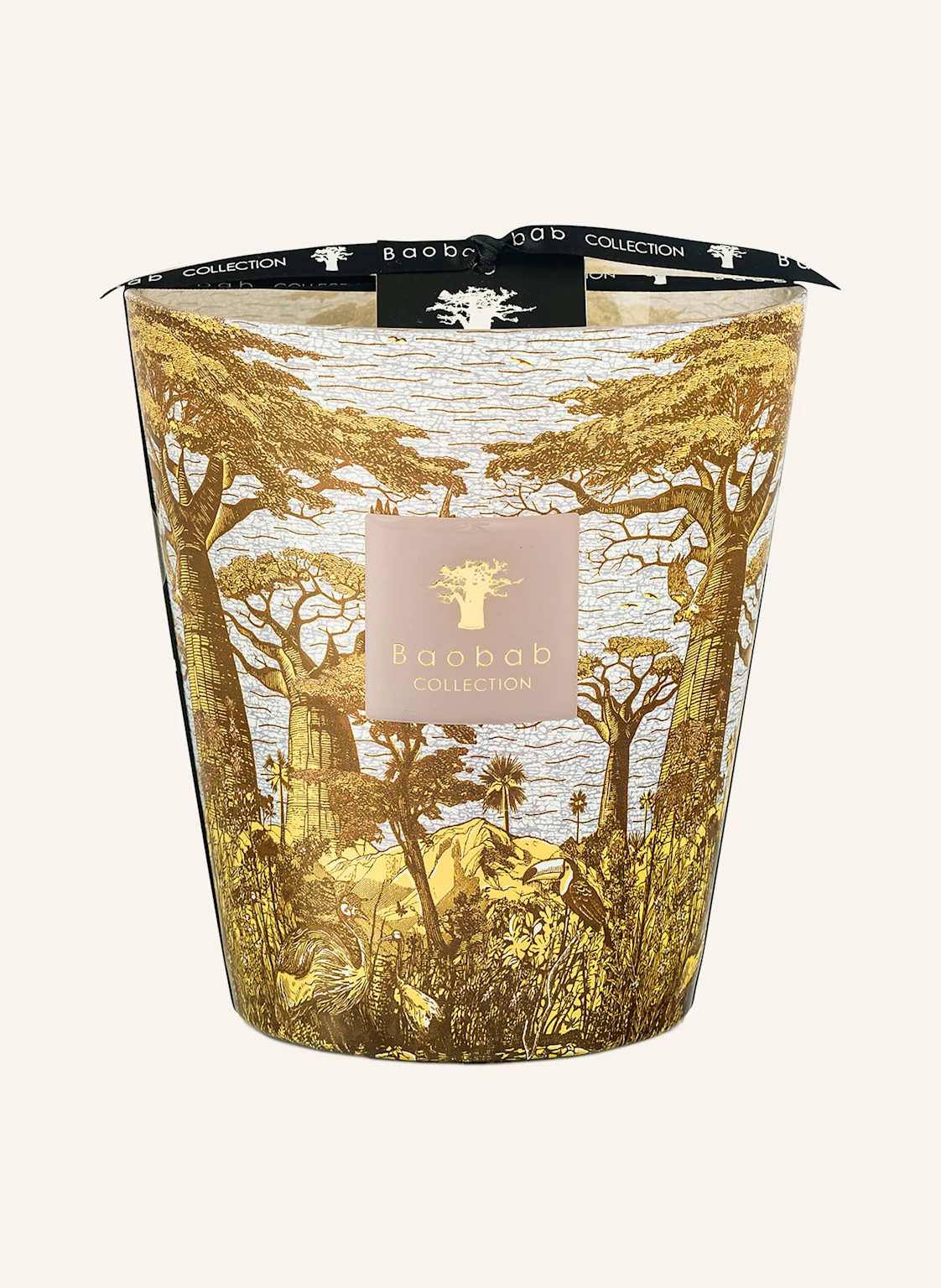 Baobab COLLECTION Duftkerze SACRED TREES BOUNKANI