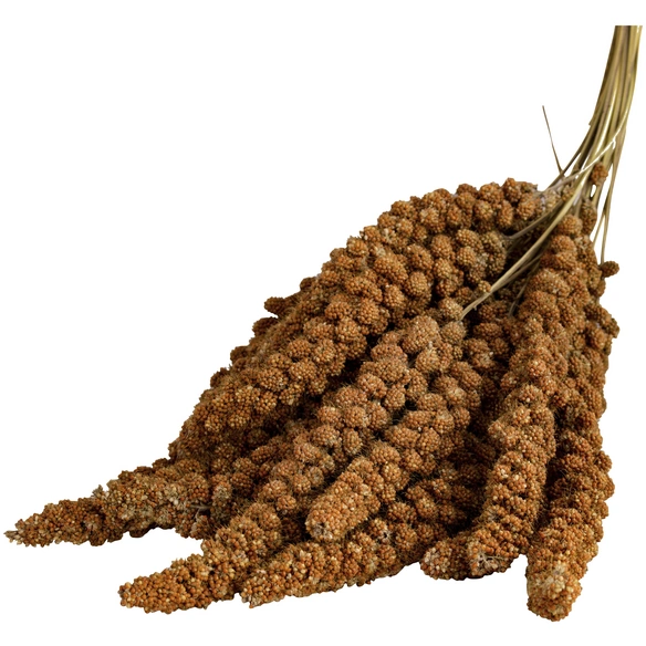 Vogelfutter, 200 g kg, Hirse