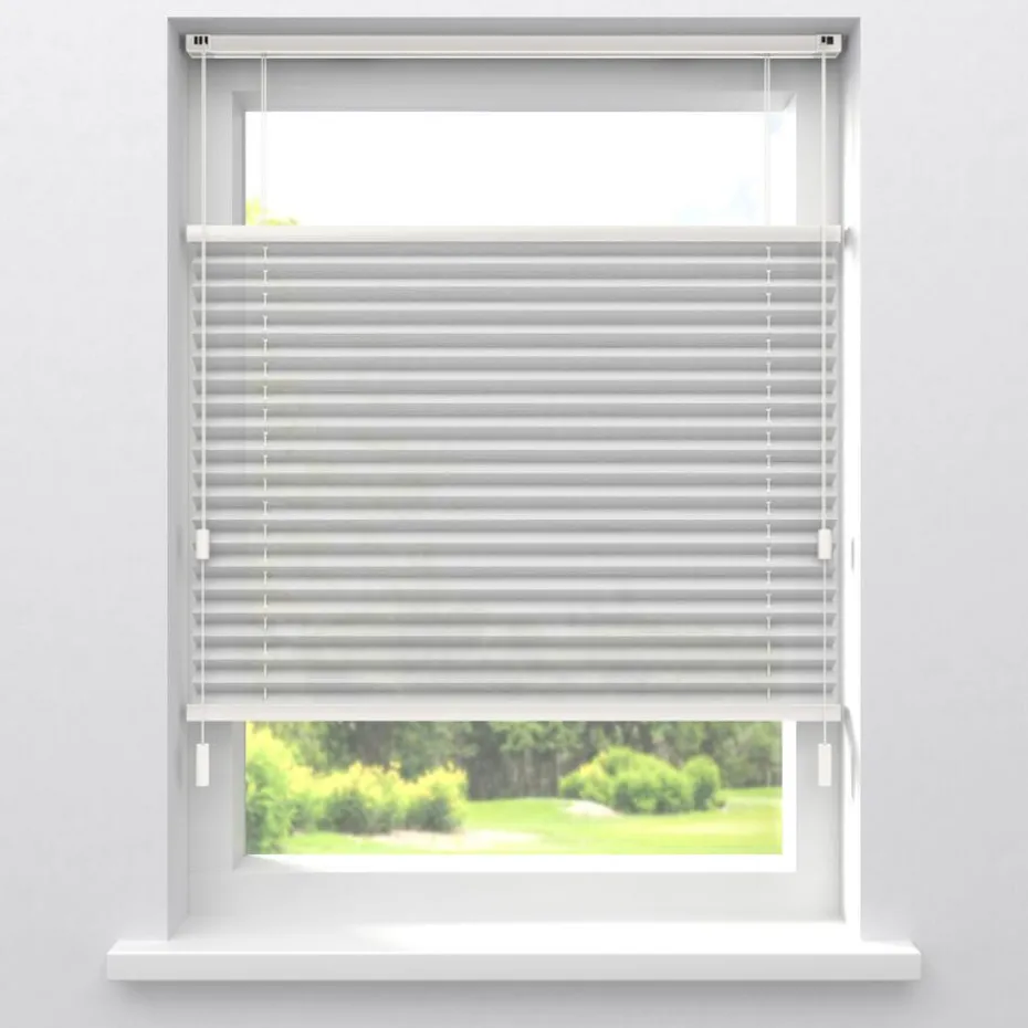 Kwantum Plisségordijnen | Fenstr Plissé Lina  Transparant Wit