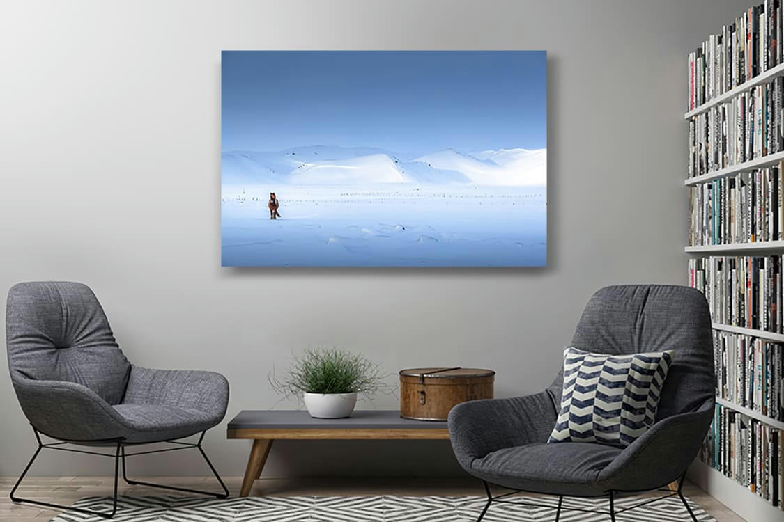 MELRAKKASLÉTTA - Photographie d'art d'Hugo Grandcolas  30x45 cm sur plexi