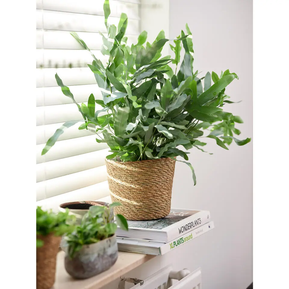 Ter Steege Plantenpot - beige - gevlochten zeegras - 30 x 26 cm