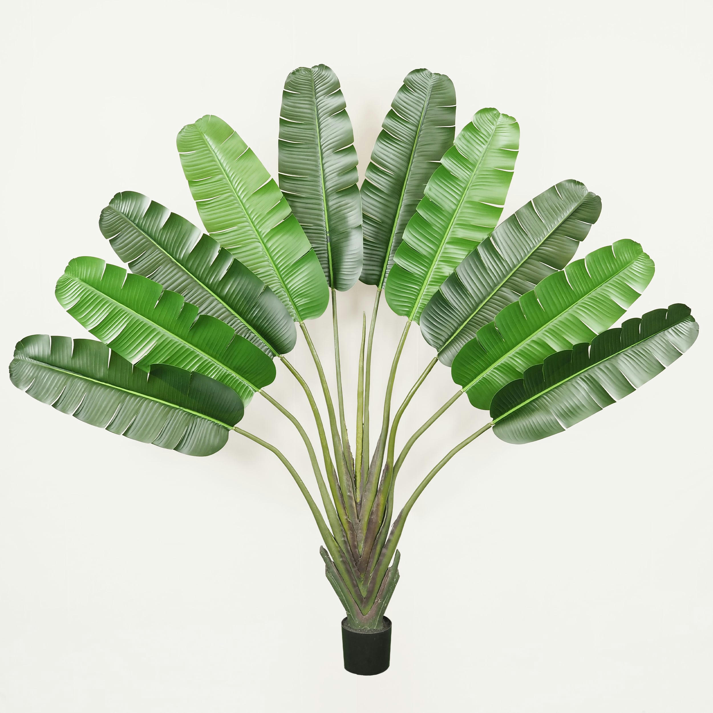 - Arbre du voyageur artificiel 