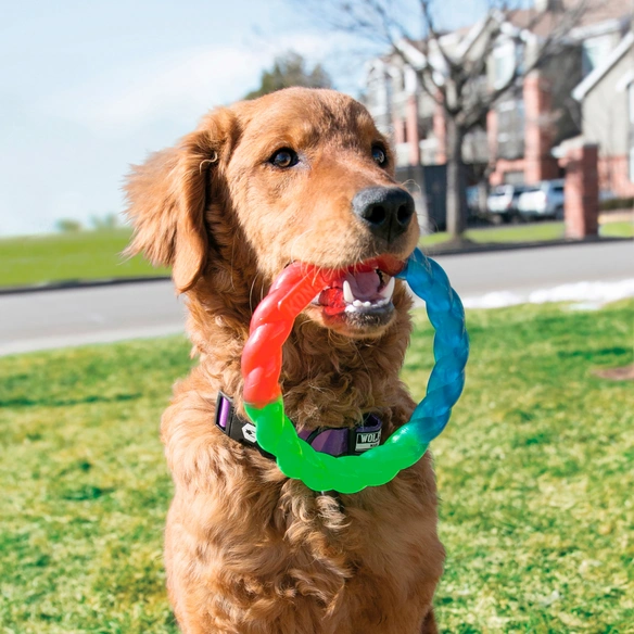 Hundespielzeug, mehrfarbig