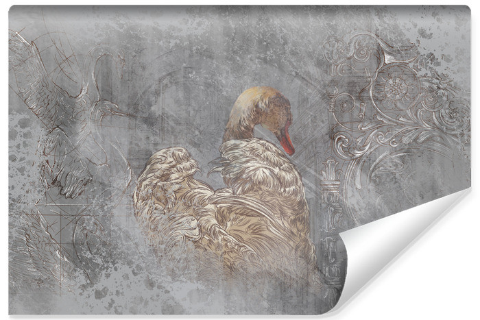 Fototapeta Abstrakcyjny Łabędź 90x60cm