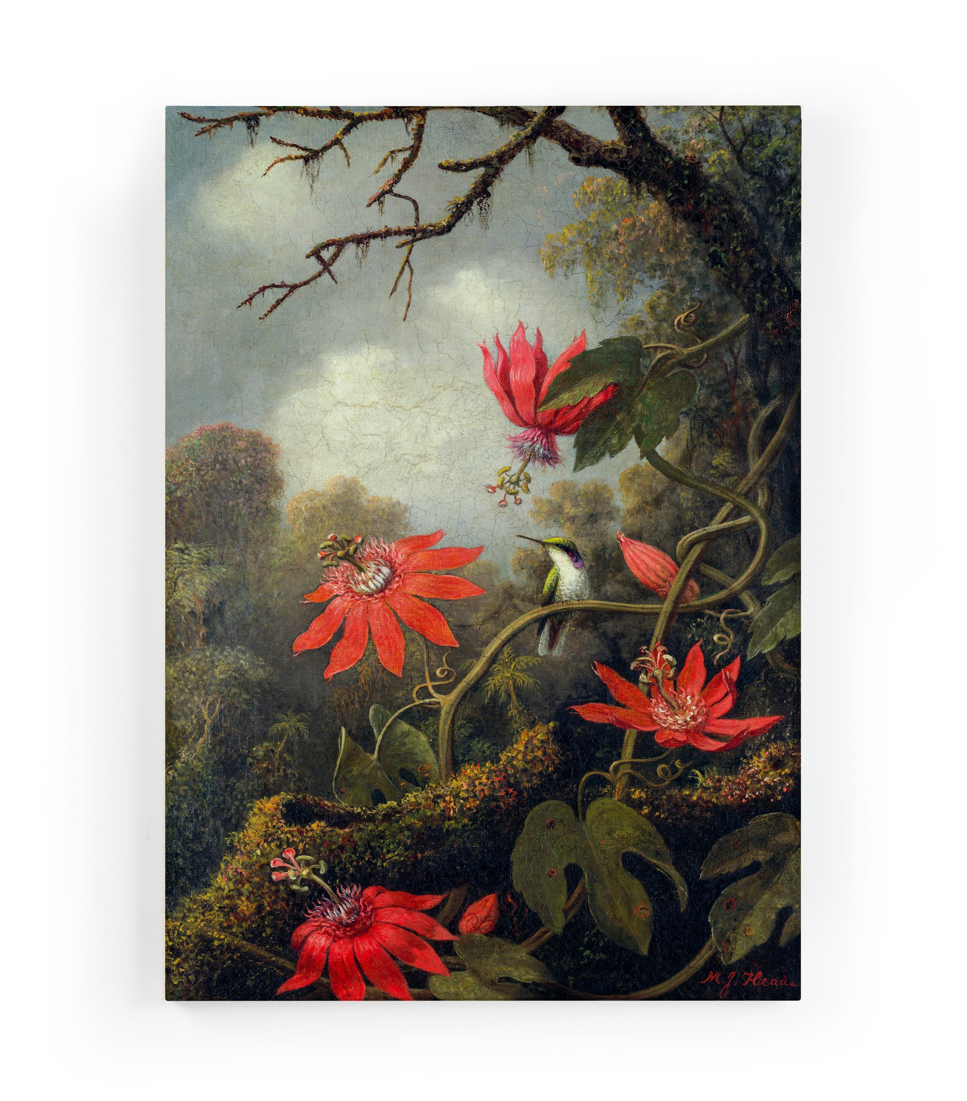 Canvas 60x40 Afdruk Passiebloem