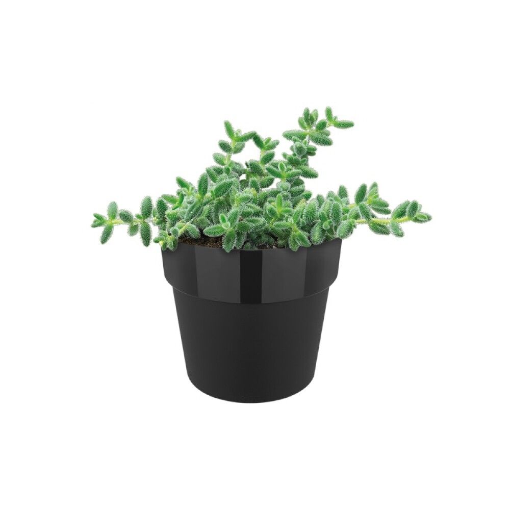 PLASTPOTTE ELHO B.FOR ORIGINAL Ø9CM SVART